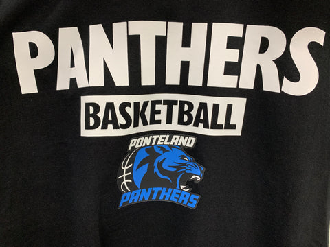 Panthers Basketball Hoody